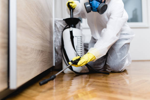 Best Ant Control Services  in Ponderosa Pine, NM