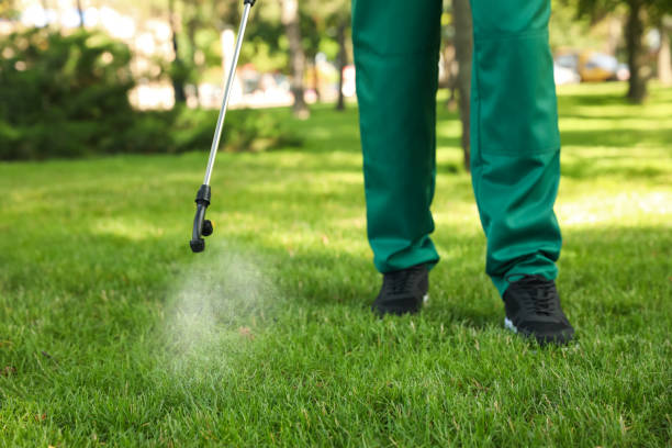Best Flea Control Services  in Ponderosa Pine, NM