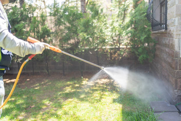 Best Bed Bug Extermination  in Ponderosa Pine, NM