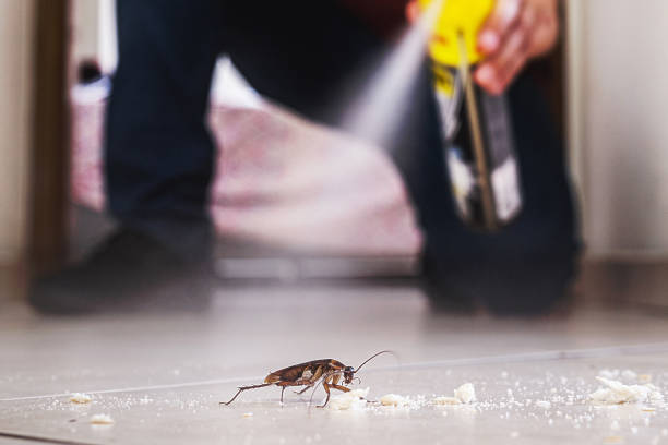 Best Rodent Control Near Me  in Ponderosa Pine, NM