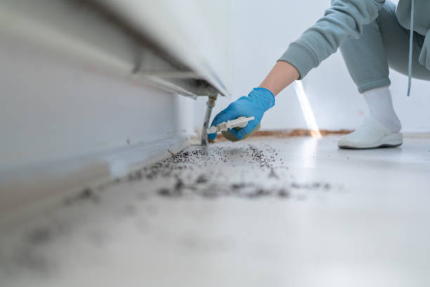 Best Mosquito Control Services  in Ponderosa Pine, NM