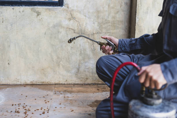 Best Best Pest Control Companies  in Ponderosa Pine, NM